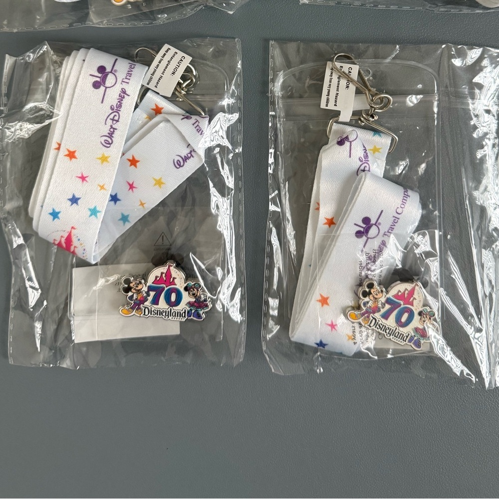 Set of Two Disneyland Pins and Lanyards